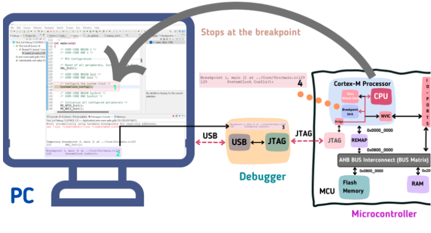 Wadix services